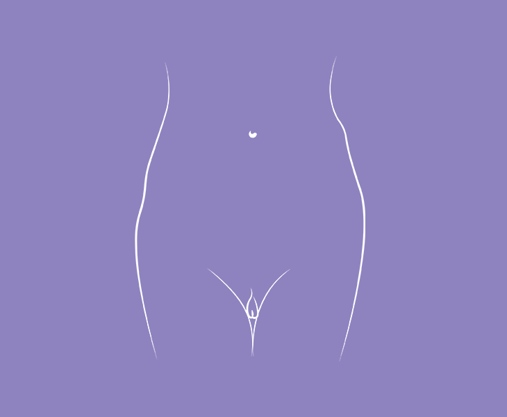 GIF showing different types of illustrated vaginas - Libresse